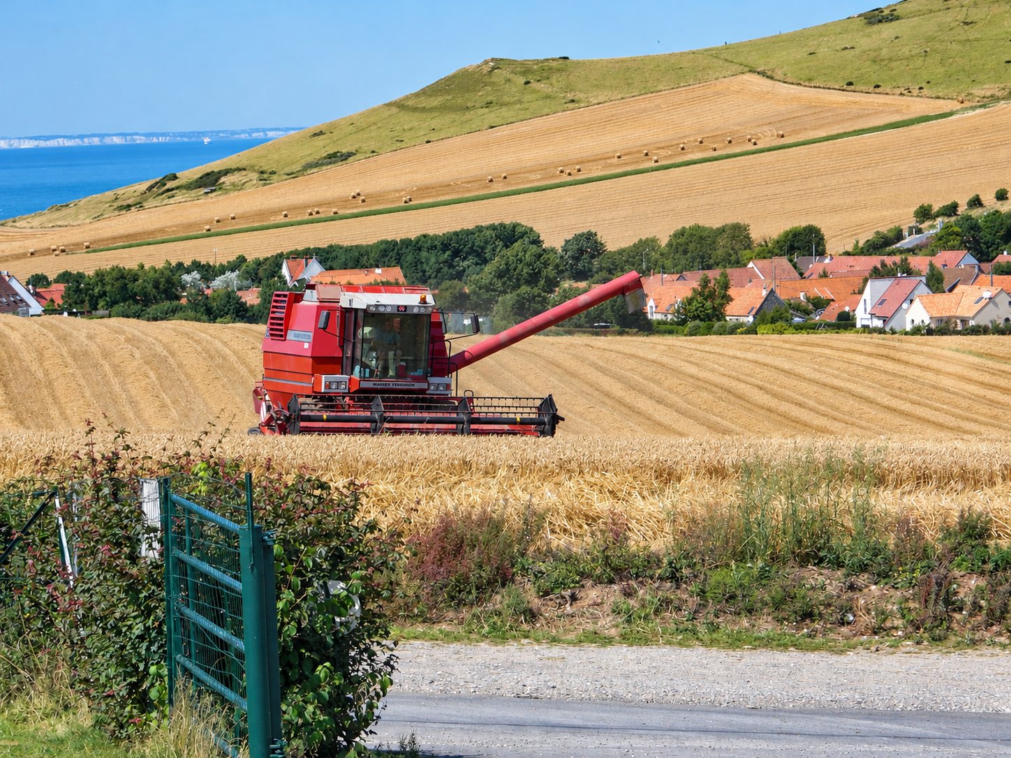 Moissonneuse-batteuse rouge dans un champ de blé sur une colline, avec un village aux toits orange et la mer au fond