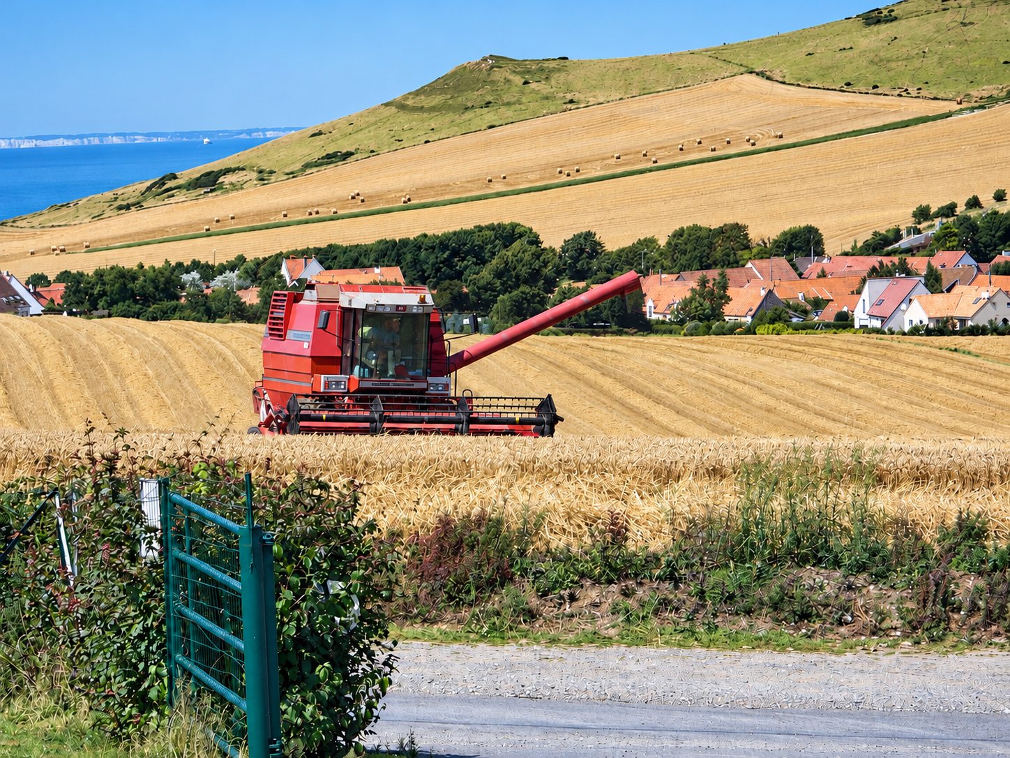 Moissonneuse-batteuse rouge au travail dans un champ de blé, avec la mer et les falaises blanches au fond